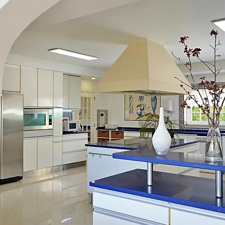Mbird 19 Penthouse 501