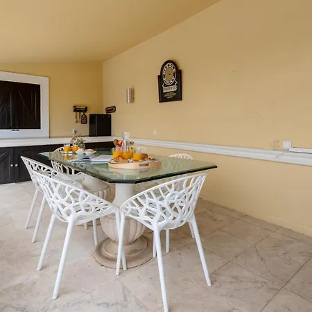 Mbird 19 Penthouse 501
