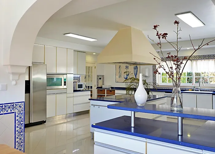 Mbird 19 Penthouse 501