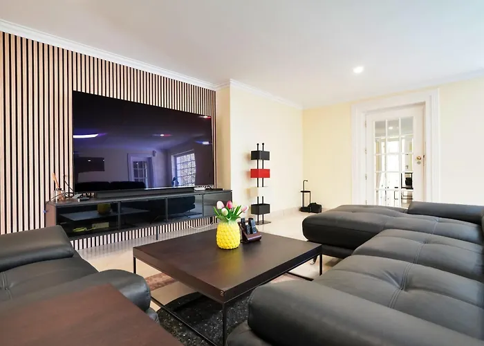 Mbird 19 Penthouse 501